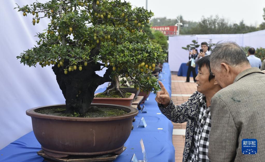 博马彩票app下载